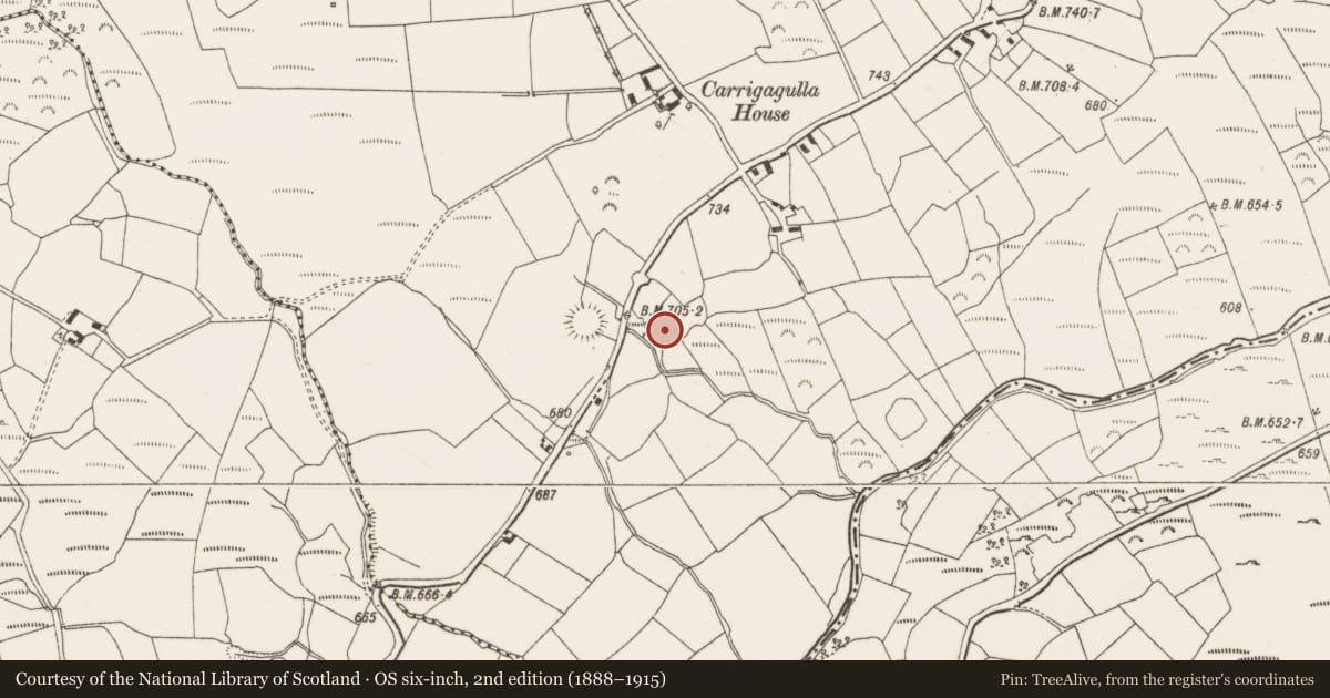 Ordnance Survey six-inch map, 2nd edition (1888–1915) covering the location of Souterrain, Carrigagulla, County Cork, with a pin at the register's coordinates