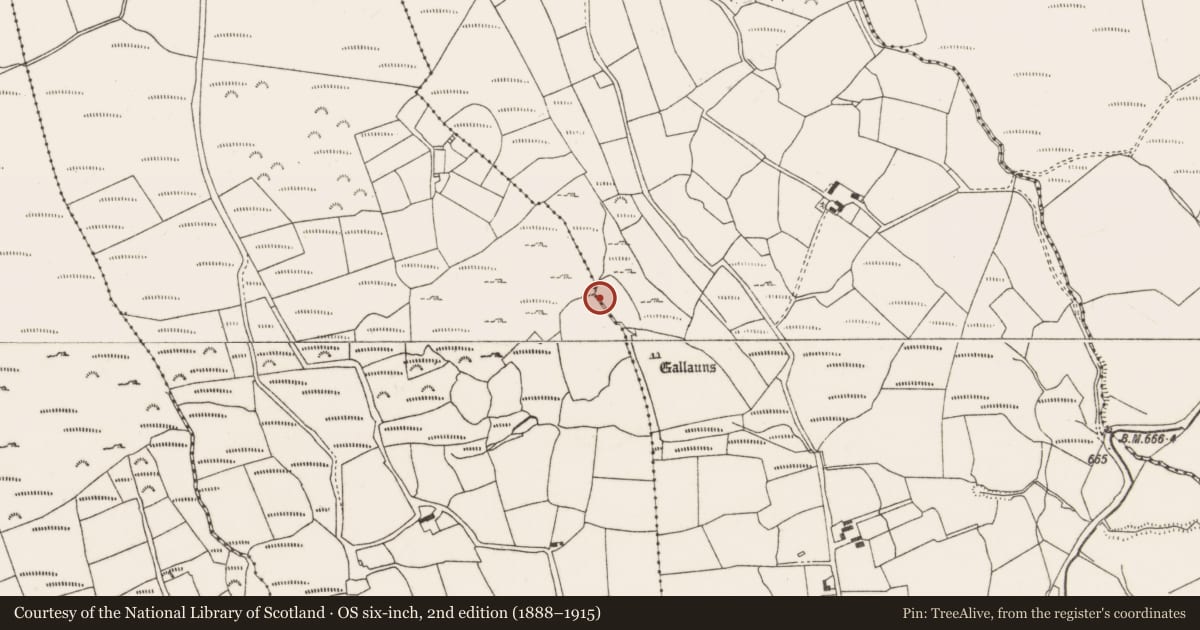 Ordnance Survey six-inch map, 2nd edition (1888–1915) covering the location of Fulacht fia, Ballynagree East, County Cork, with a pin at the register's coordinates
