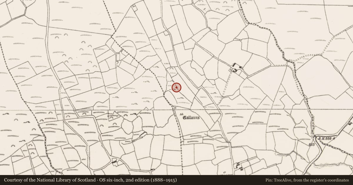 Ordnance Survey six-inch map, 2nd edition (1888–1915) covering the location of Fulacht fia, Ballynagree East, County Cork, with a pin at the register's coordinates