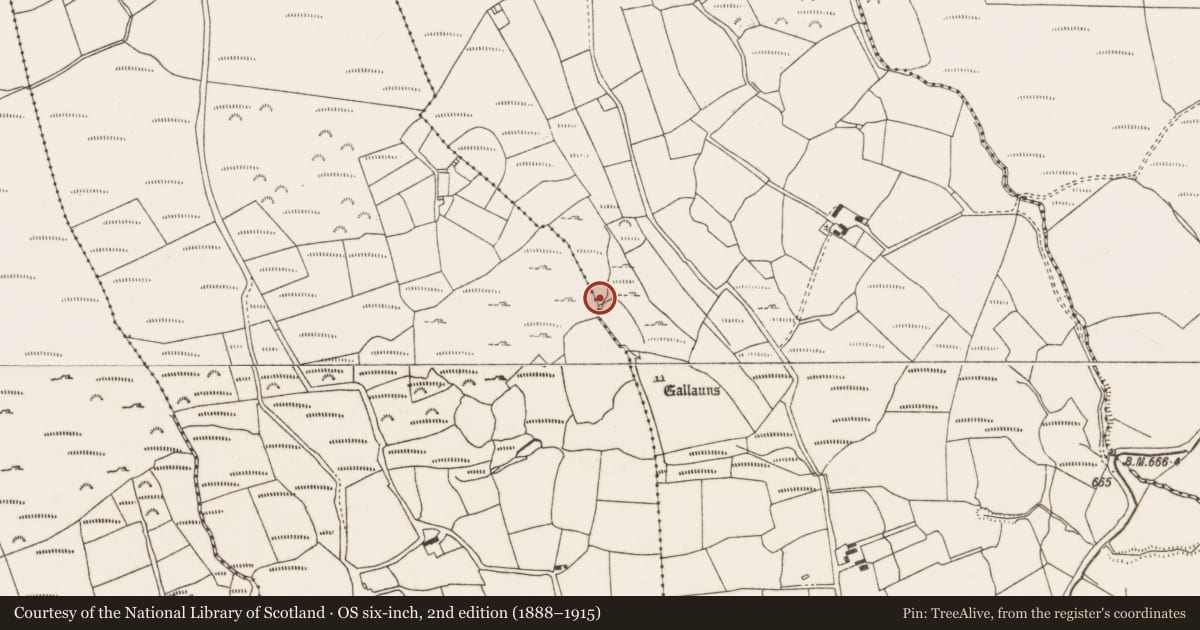 Ordnance Survey six-inch map, 2nd edition (1888–1915) covering the location of Fulacht fia, Ballynagree East, County Cork, with a pin at the register's coordinates