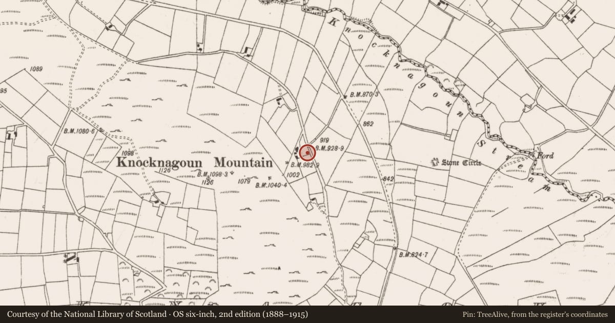 Ordnance Survey six-inch map, 2nd edition (1888–1915) covering the location of Enclosure, Knocknagoun, County Cork, with a pin at the register's coordinates