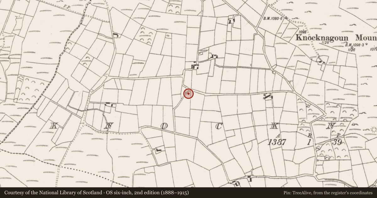 Ordnance Survey six-inch map, 2nd edition (1888–1915) covering the location of Burial ground, Knocknagoun, County Cork, with a pin at the register's coordinates