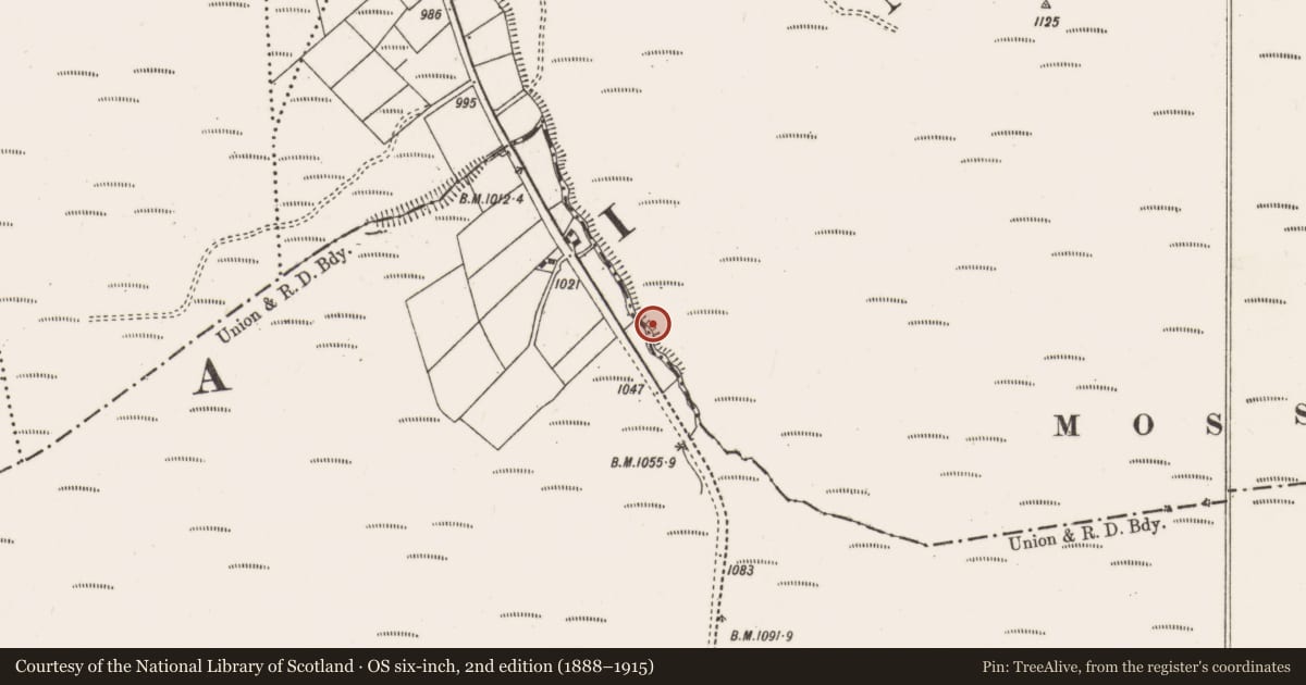 Ordnance Survey six-inch map, 2nd edition (1888–1915) covering the location of Standing stone, Glenaknockane, County Cork, with a pin at the register's coordinates