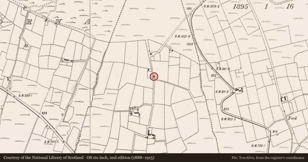 Ordnance Survey six-inch map, 2nd edition (1888–1915) covering the location of Megalithic tomb - wedge tomb, Rahalisk, County Cork, with a pin at the register's coordinates