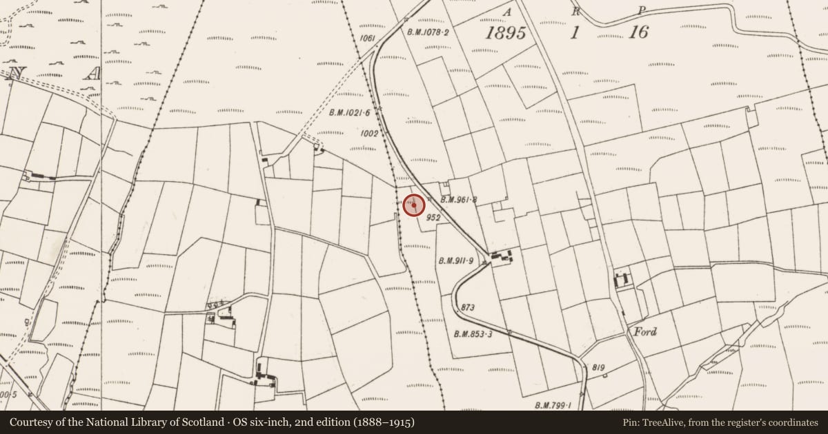 Ordnance Survey six-inch map, 2nd edition (1888–1915) covering the location of Megalithic tomb - wedge tomb, Knocknagappul, County Cork, with a pin at the register's coordinates