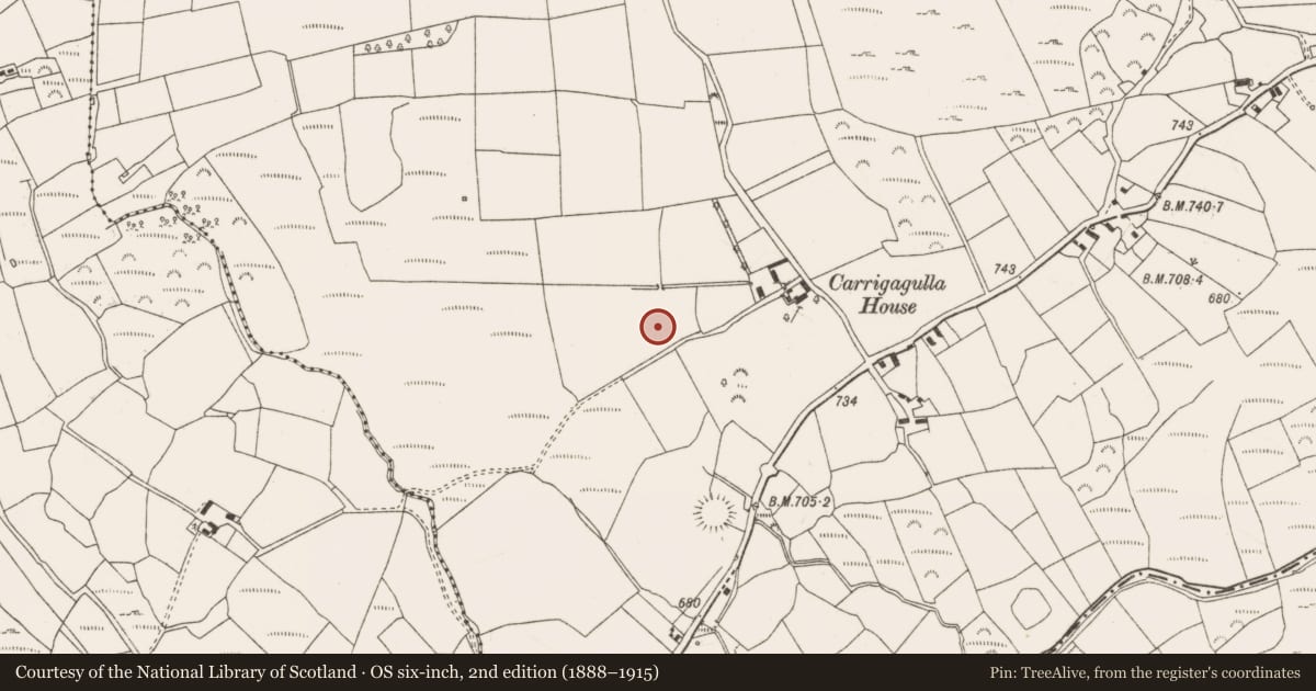 Ordnance Survey six-inch map, 2nd edition (1888–1915) covering the location of Burnt mound, Carrigagulla, County Cork, with a pin at the register's coordinates