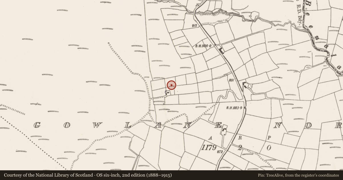 Ordnance Survey six-inch map, 2nd edition (1888–1915) covering the location of Standing stone, Gowlane North, County Cork, with a pin at the register's coordinates