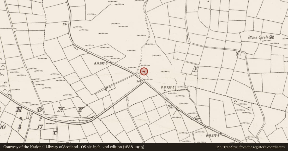 Ordnance Survey six-inch map, 2nd edition (1888–1915) covering the location of Fulacht fia, Gowlane North, County Cork, with a pin at the register's coordinates