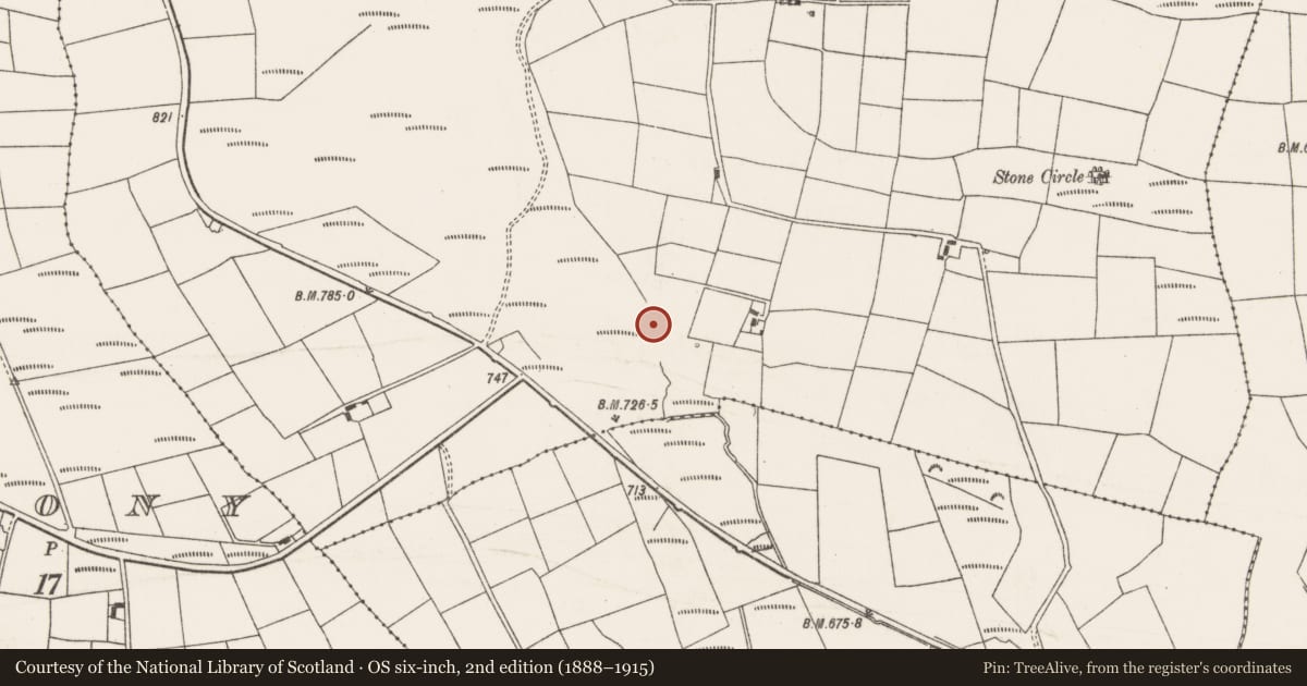Ordnance Survey six-inch map, 2nd edition (1888–1915) covering the location of Fulacht fia, Gowlane North, County Cork, with a pin at the register's coordinates