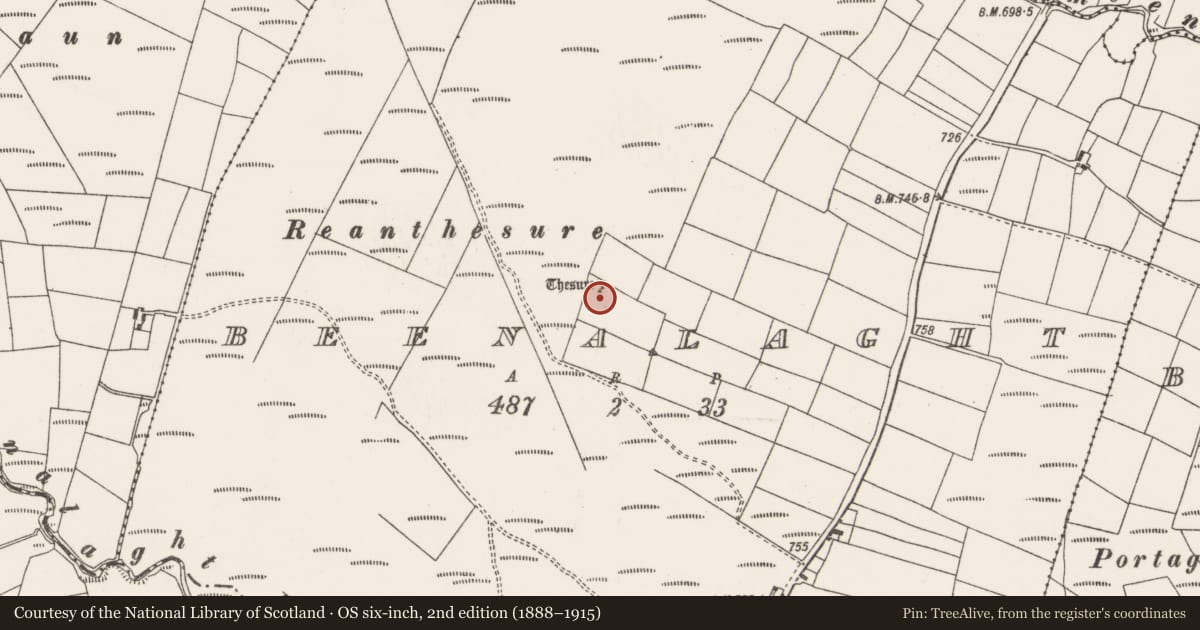 Ordnance Survey six-inch map, 2nd edition (1888–1915) covering the location of Stone row, Beenalaght, County Cork, with a pin at the register's coordinates