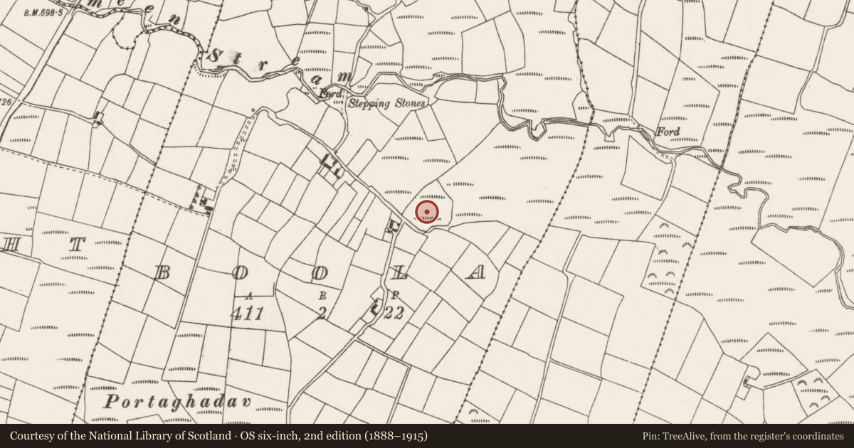 Ordnance Survey six-inch map, 2nd edition (1888–1915) covering the location of Fulacht fia, Boola, County Cork, with a pin at the register's coordinates