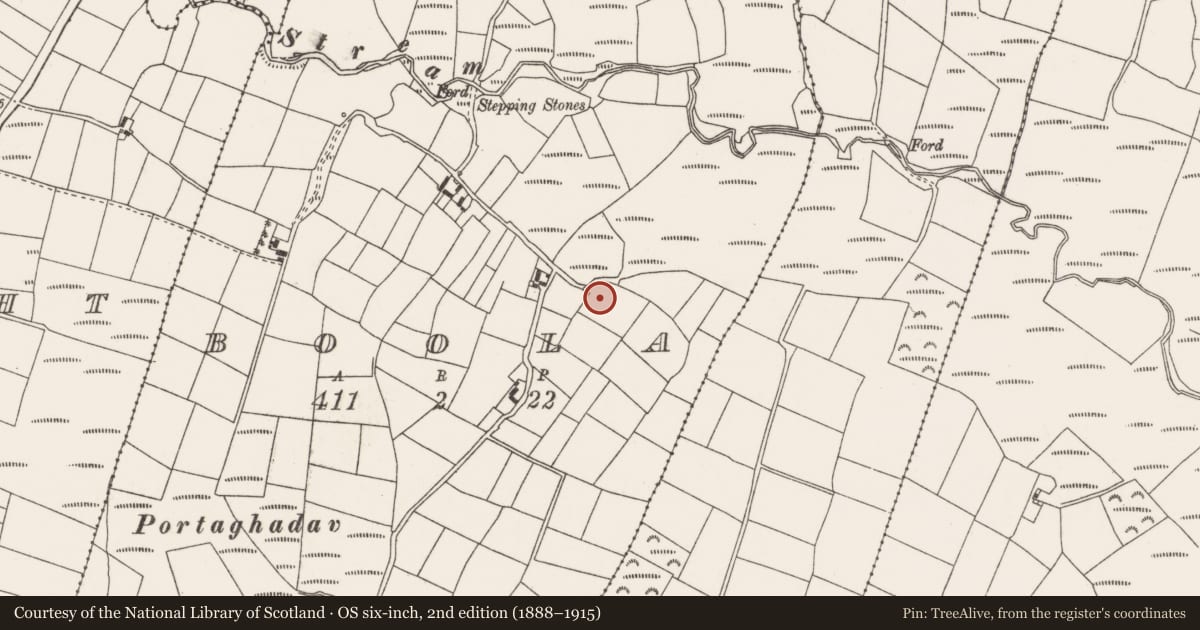 Ordnance Survey six-inch map, 2nd edition (1888–1915) covering the location of Fulacht fia, Boola, County Cork, with a pin at the register's coordinates