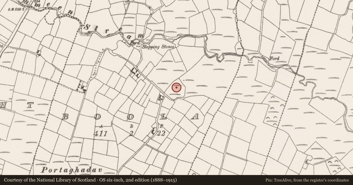Ordnance Survey six-inch map, 2nd edition (1888–1915) covering the location of Fulacht fia, Boola, County Cork, with a pin at the register's coordinates