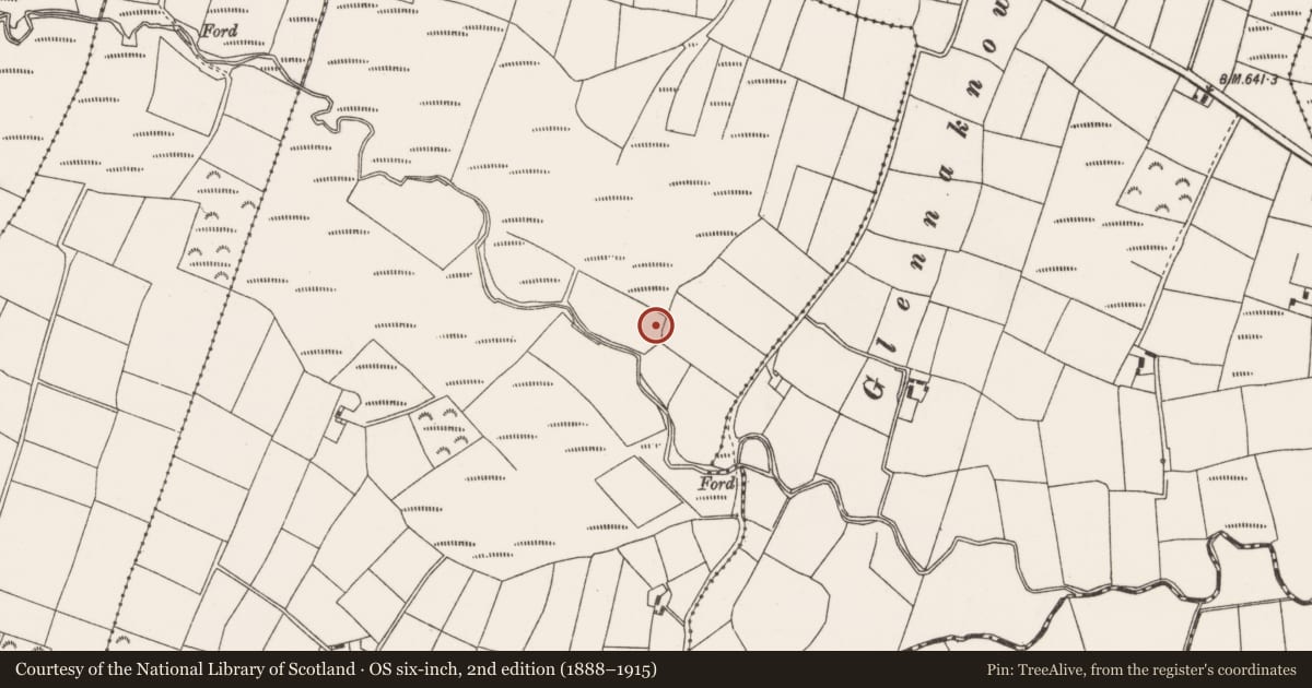 Ordnance Survey six-inch map, 2nd edition (1888–1915) covering the location of Fulacht fia, Beennamweel East, County Cork, with a pin at the register's coordinates