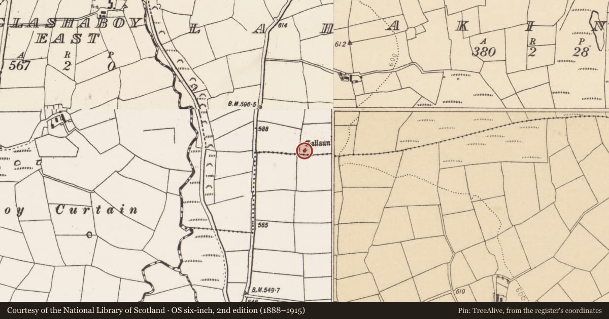 Ordnance Survey six-inch map, 2nd edition (1888–1915) covering the location of Standing stone, Lahakinneen, County Cork, with a pin at the register's coordinates