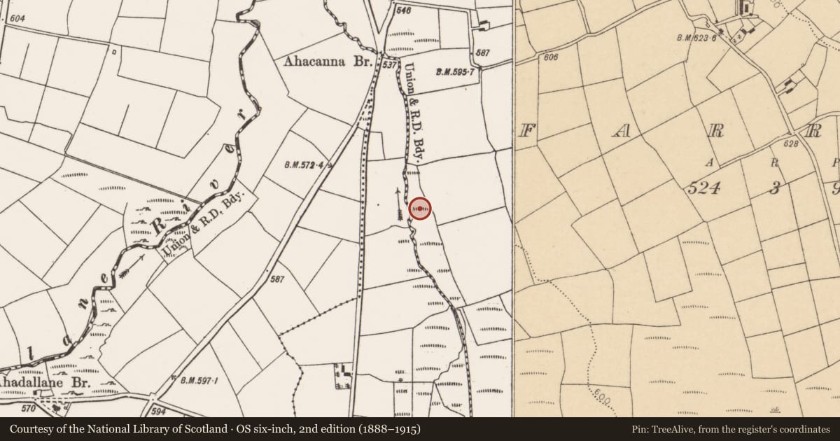 Ordnance Survey six-inch map, 2nd edition (1888–1915) covering the location of Fulacht fia, Farran, County Cork, with a pin at the register's coordinates