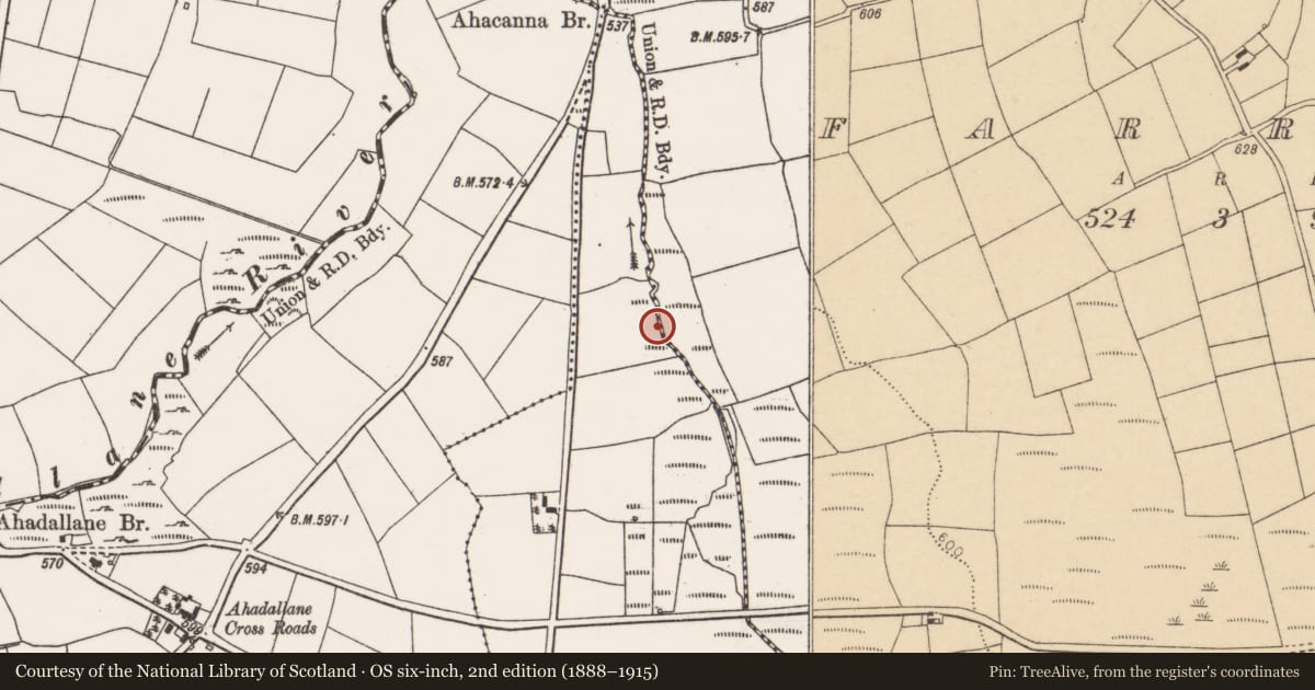 Ordnance Survey six-inch map, 2nd edition (1888–1915) covering the location of Fulacht fia, Pluckanes North, County Cork, with a pin at the register's coordinates