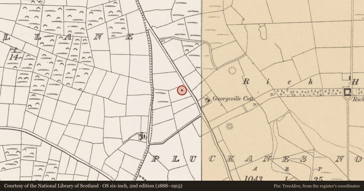 Ordnance Survey six-inch map, 2nd edition (1888–1915) covering the location of Standing stone, Pluckanes North, County Cork, with a pin at the register's coordinates