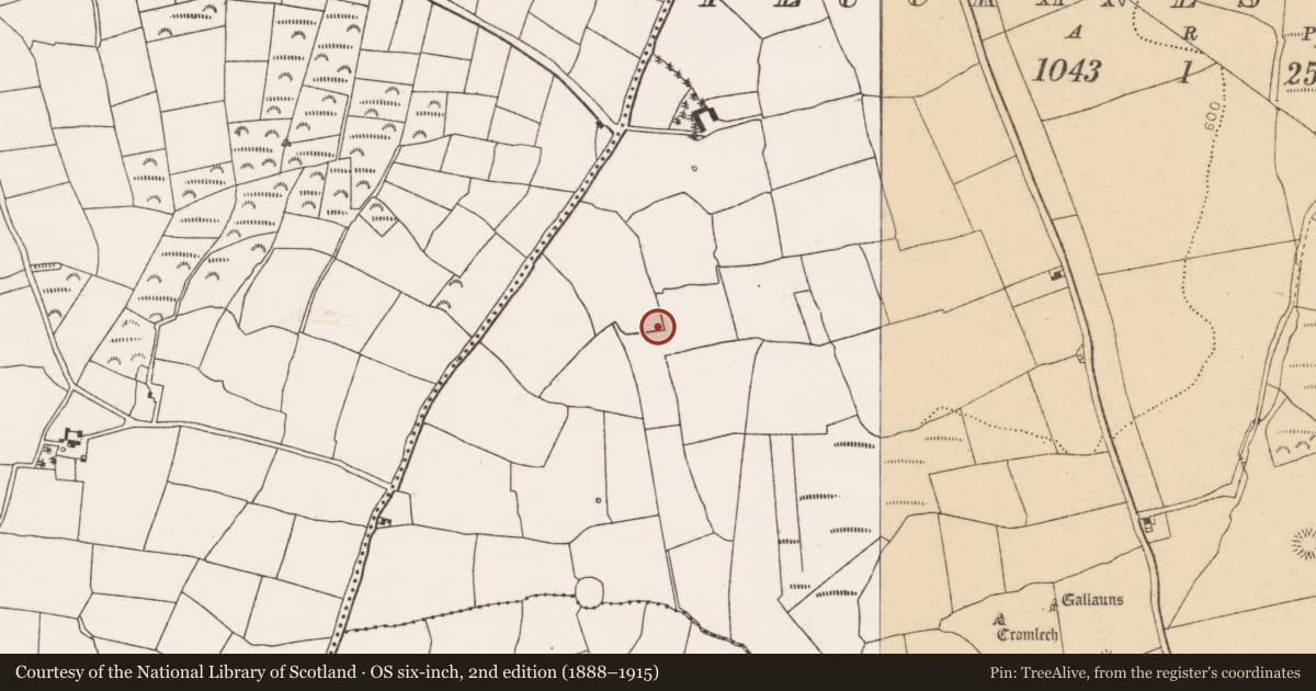 Ordnance Survey six-inch map, 2nd edition (1888–1915) covering the location of Fulacht fia, Pluckanes North, County Cork, with a pin at the register's coordinates