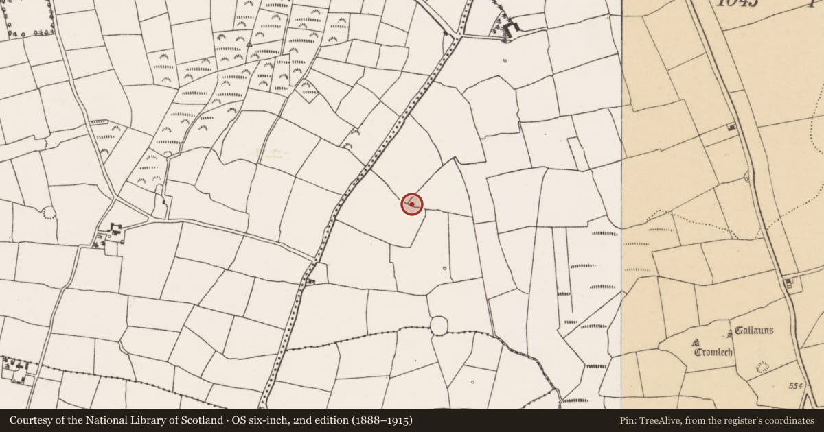 Ordnance Survey six-inch map, 2nd edition (1888–1915) covering the location of Ringfort - rath, Pluckanes North, County Cork, with a pin at the register's coordinates