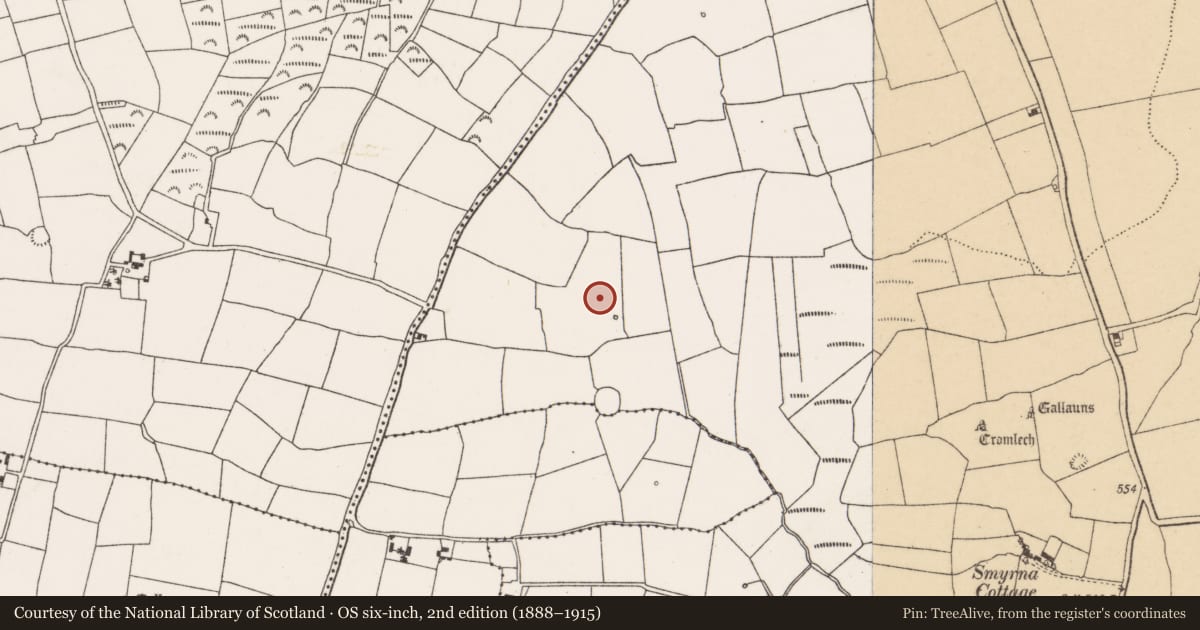 Ordnance Survey six-inch map, 2nd edition (1888–1915) covering the location of Fulacht fia, Pluckanes North, County Cork, with a pin at the register's coordinates