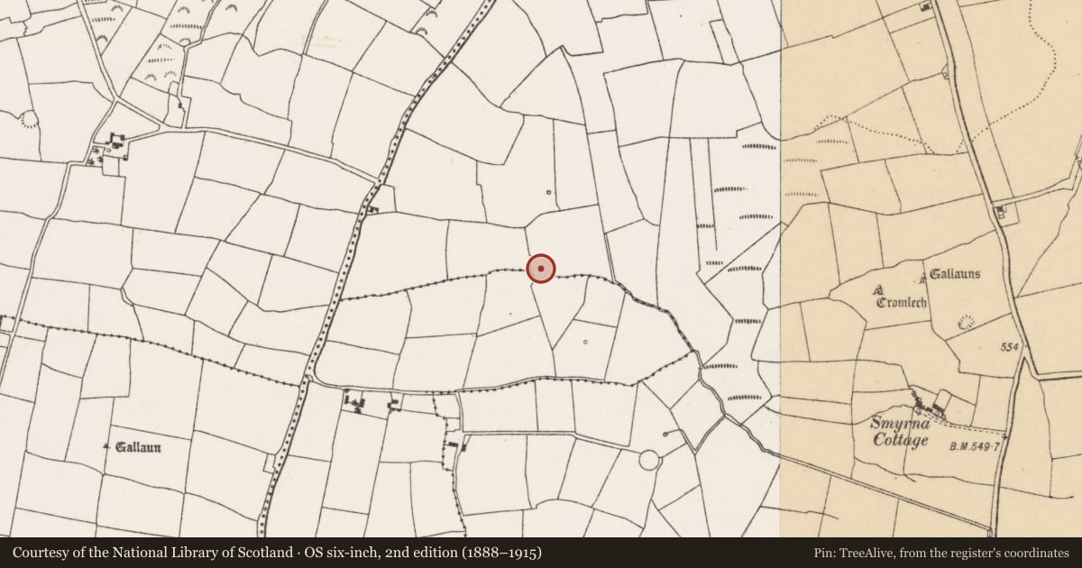 Ordnance Survey six-inch map, 2nd edition (1888–1915) covering the location of Ringfort - rath, Pluckanes North, County Cork, with a pin at the register's coordinates
