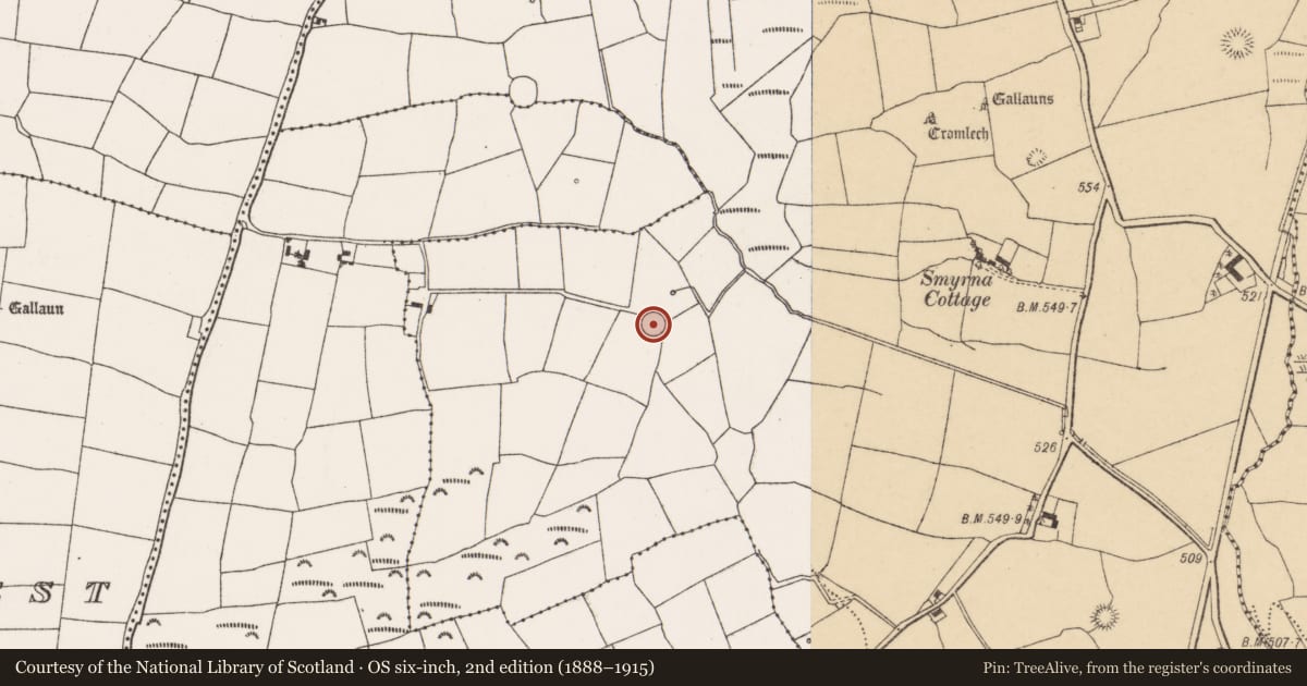 Ordnance Survey six-inch map, 2nd edition (1888–1915) covering the location of Ringfort - rath, Pluckanes North, County Cork, with a pin at the register's coordinates