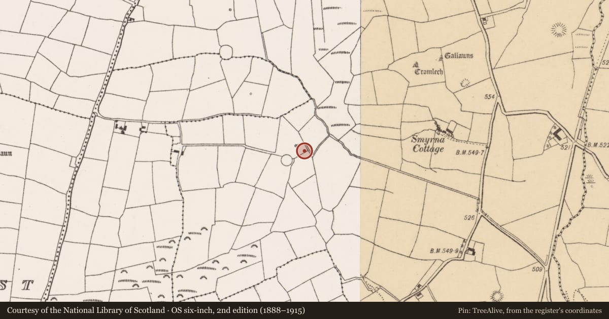 Ordnance Survey six-inch map, 2nd edition (1888–1915) covering the location of Fulacht fia, Pluckanes North, County Cork, with a pin at the register's coordinates