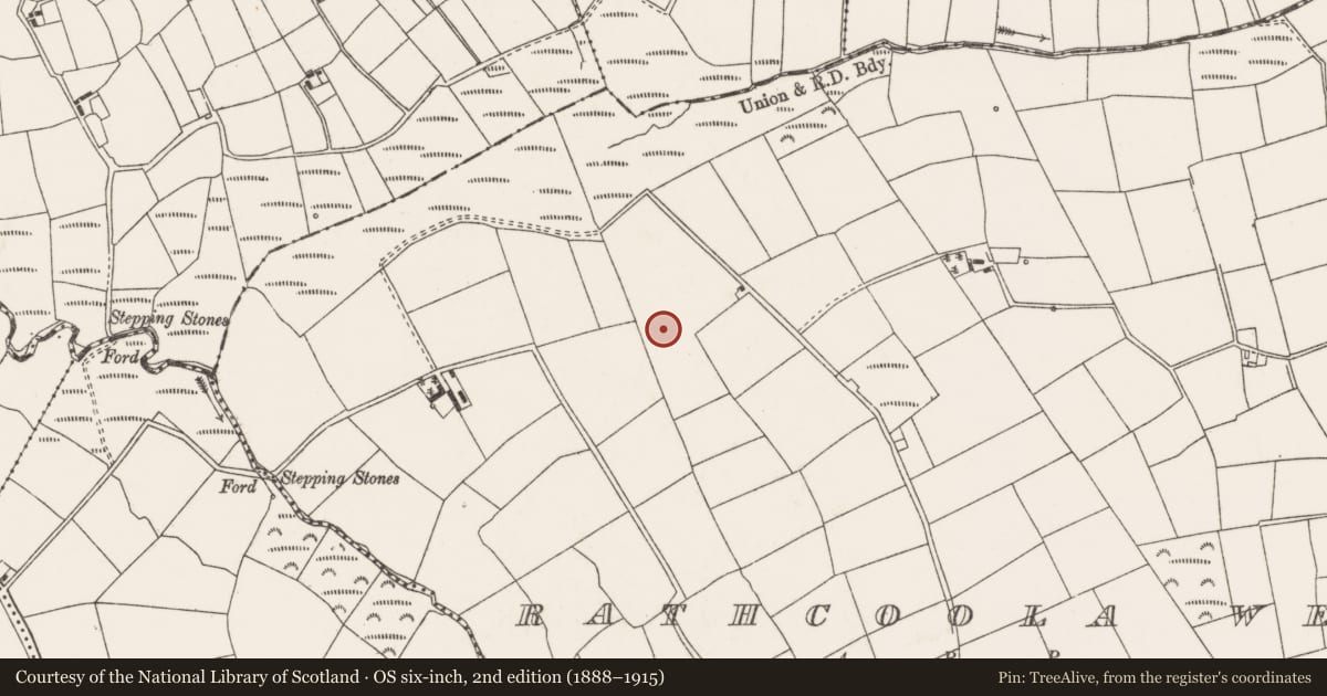 Ordnance Survey six-inch map, 2nd edition (1888–1915) covering the location of Standing stone, Rathcoola West, County Cork, with a pin at the register's coordinates