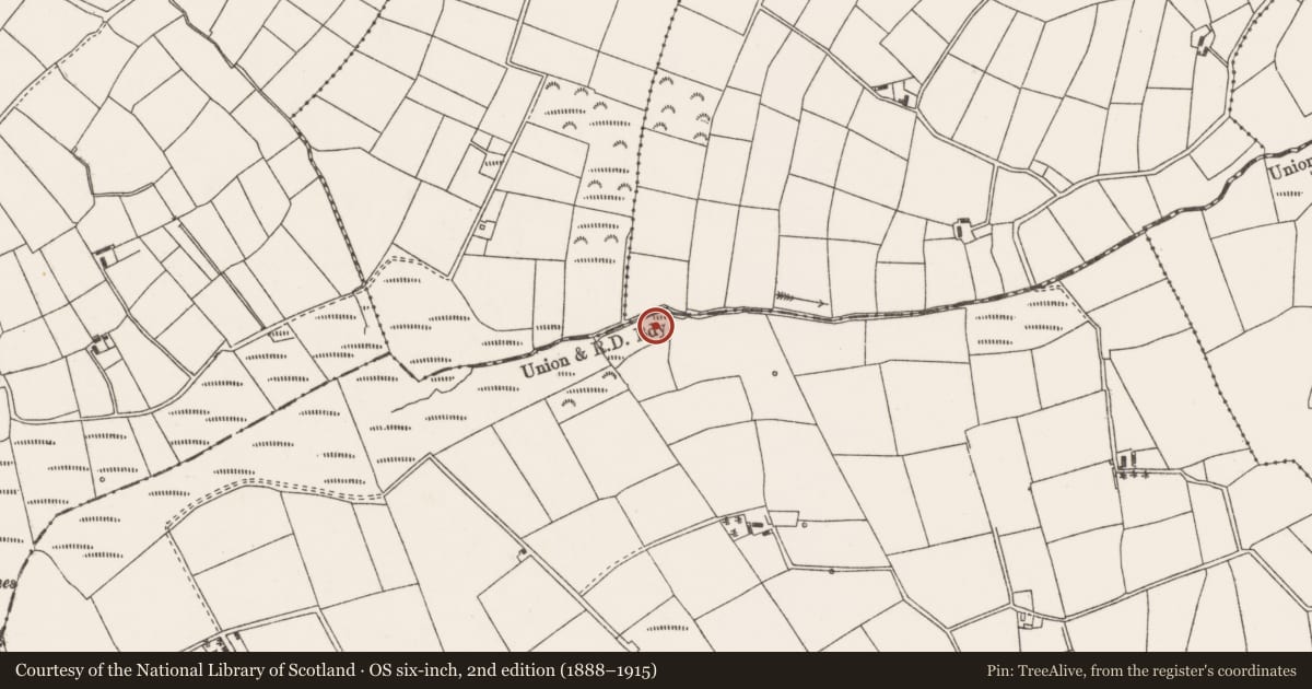 Ordnance Survey six-inch map, 2nd edition (1888–1915) covering the location of Fulacht fia, Rathcoola West, County Cork, with a pin at the register's coordinates
