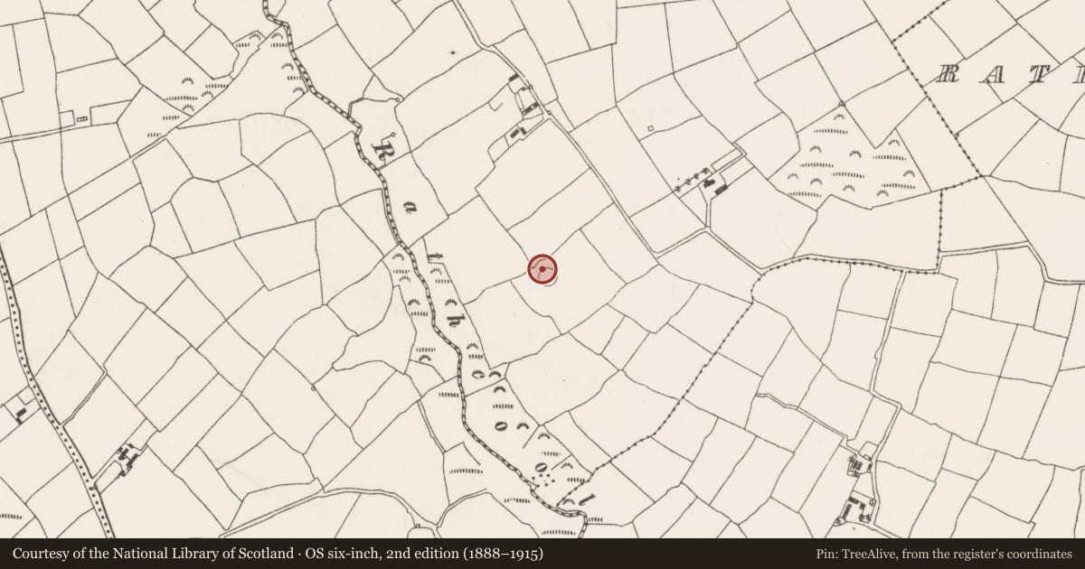 Ordnance Survey six-inch map, 2nd edition (1888–1915) covering the location of Ringfort - rath, Rathcoola West, County Cork, with a pin at the register's coordinates