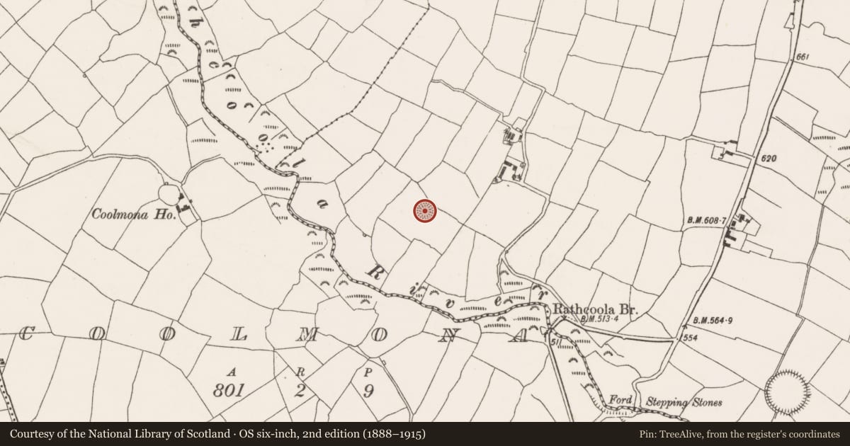 Ordnance Survey six-inch map, 2nd edition (1888–1915) covering the location of Ringfort - rath, Rathcoola East, County Cork, with a pin at the register's coordinates