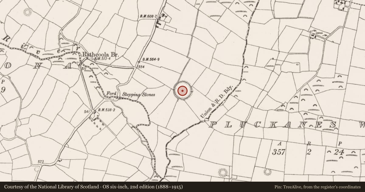 Ordnance Survey six-inch map, 2nd edition (1888–1915) covering the location of Ringfort - rath, Rathcoola East, County Cork, with a pin at the register's coordinates