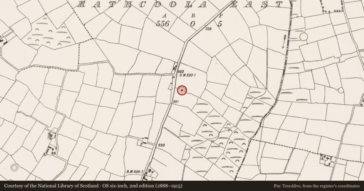 Ordnance Survey six-inch map, 2nd edition (1888–1915) covering the location of Ringfort - rath, Rathcoola East, County Cork, with a pin at the register's coordinates
