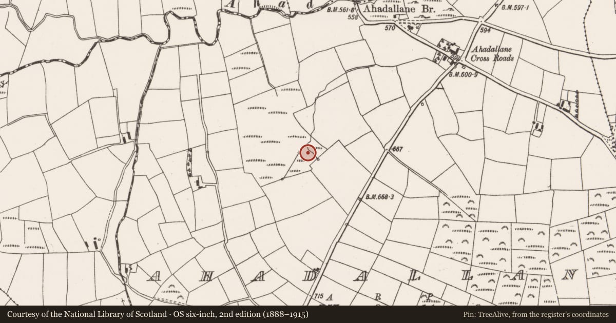 Ordnance Survey six-inch map, 2nd edition (1888–1915) covering the location of Fulacht fia, Ahadallane, County Cork, with a pin at the register's coordinates