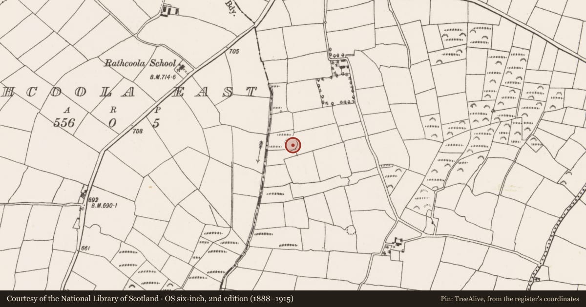 Ordnance Survey six-inch map, 2nd edition (1888–1915) covering the location of Ringfort - rath, Ahadallane, County Cork, with a pin at the register's coordinates