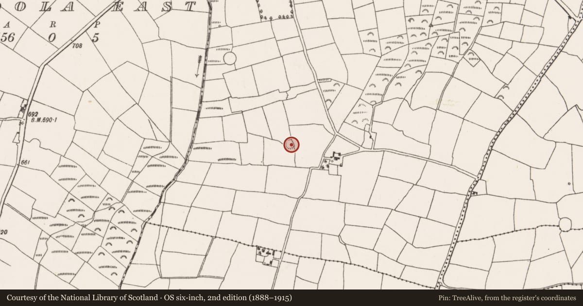 Ordnance Survey six-inch map, 2nd edition (1888–1915) covering the location of Ringfort - rath, Ahadallane, County Cork, with a pin at the register's coordinates