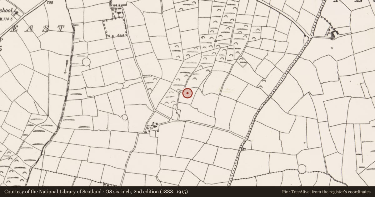 Ordnance Survey six-inch map, 2nd edition (1888–1915) covering the location of Standing stone, Ahadallane, County Cork, with a pin at the register's coordinates