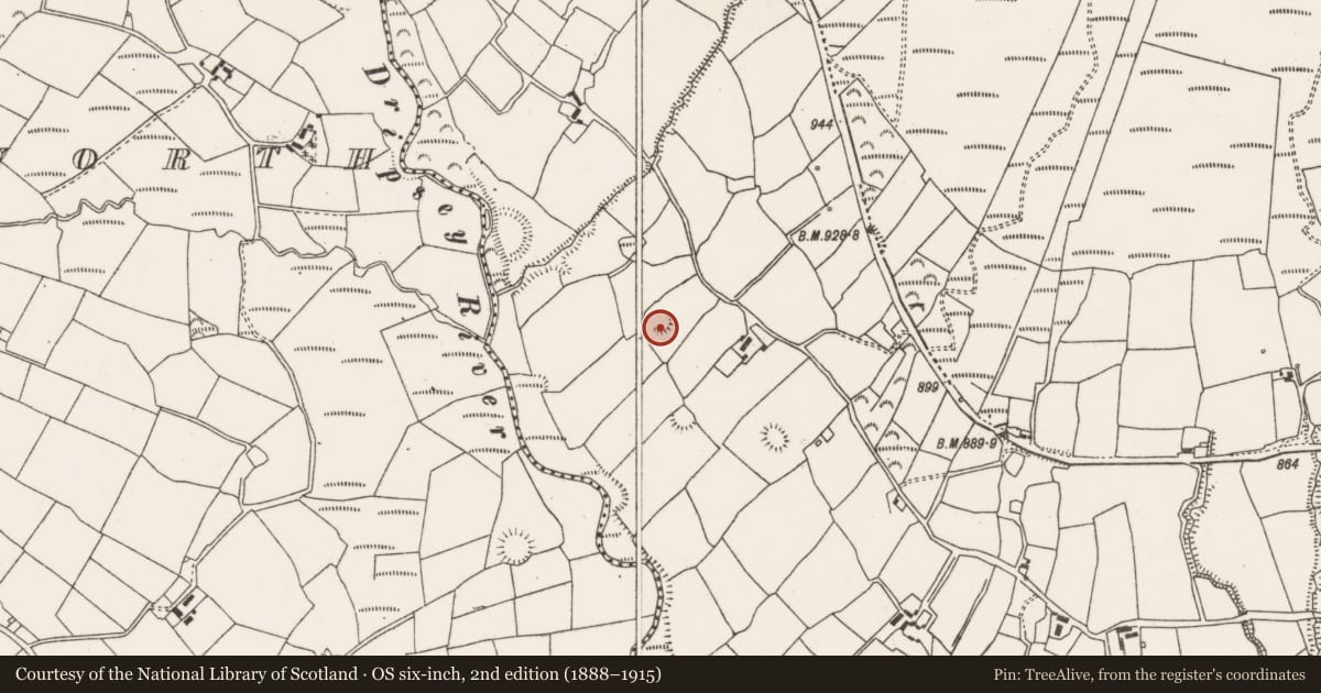 Ordnance Survey six-inch map, 2nd edition (1888–1915) covering the location of Ringfort - rath, Barrahaurin, County Cork, with a pin at the register's coordinates