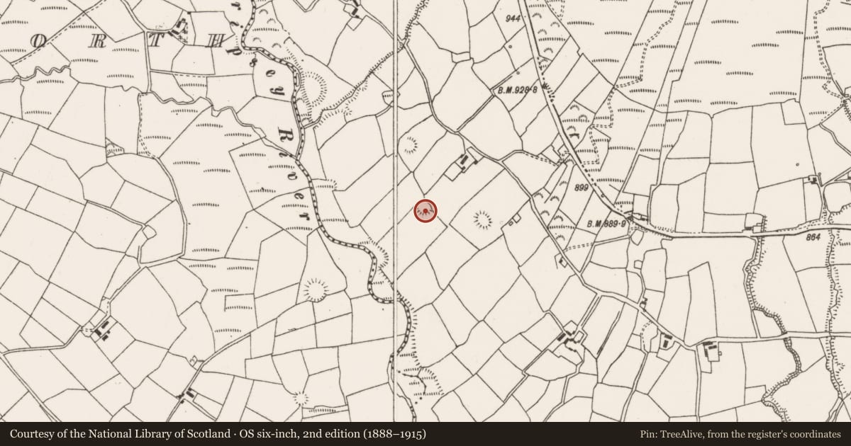 Ordnance Survey six-inch map, 2nd edition (1888–1915) covering the location of Ringfort - rath, Barrahaurin, County Cork, with a pin at the register's coordinates