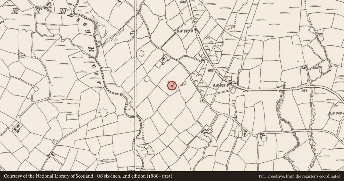 Ordnance Survey six-inch map, 2nd edition (1888–1915) covering the location of Ringfort - rath, Barrahaurin, County Cork, with a pin at the register's coordinates