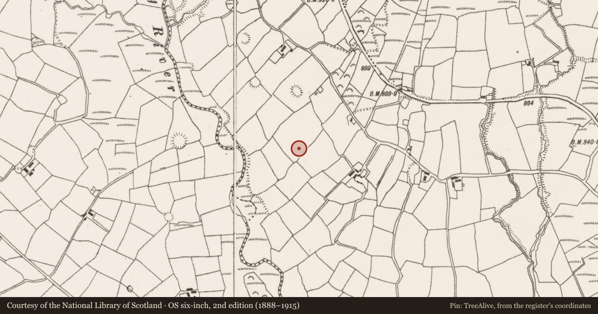 Ordnance Survey six-inch map, 2nd edition (1888–1915) covering the location of Ringfort - rath, Barrahaurin, County Cork, with a pin at the register's coordinates