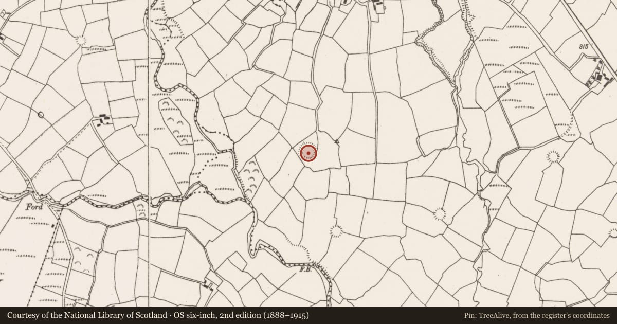 Ordnance Survey six-inch map, 2nd edition (1888–1915) covering the location of Ringfort - rath, Barrahaurin, County Cork, with a pin at the register's coordinates