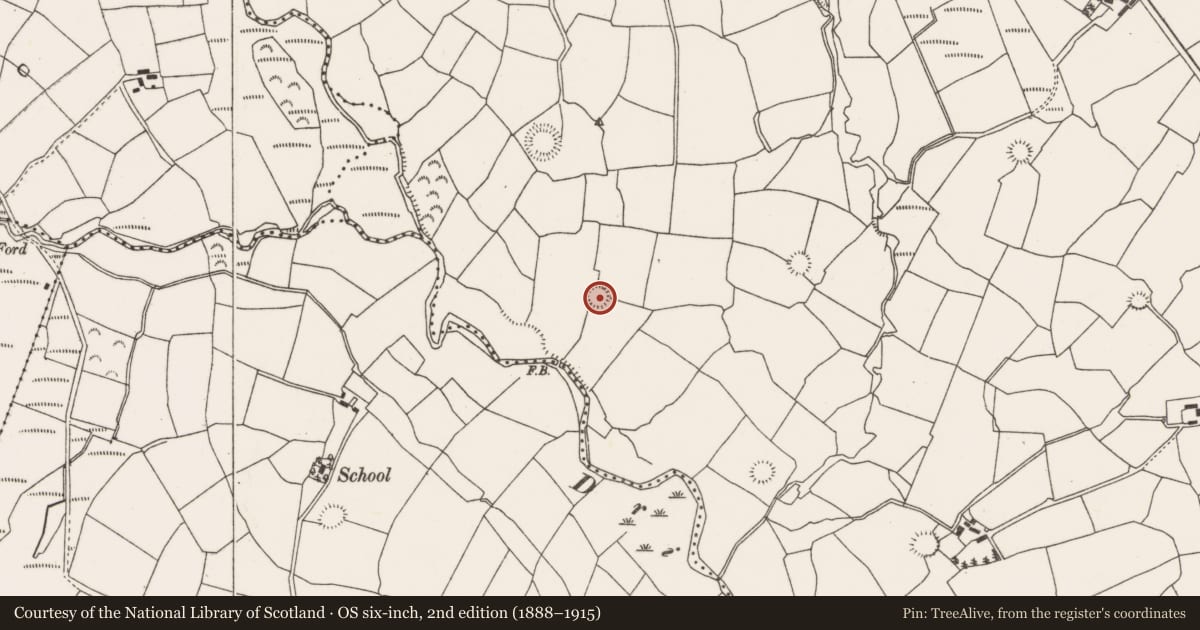 Ordnance Survey six-inch map, 2nd edition (1888–1915) covering the location of Ogham stone, Barrahaurin, County Cork, with a pin at the register's coordinates