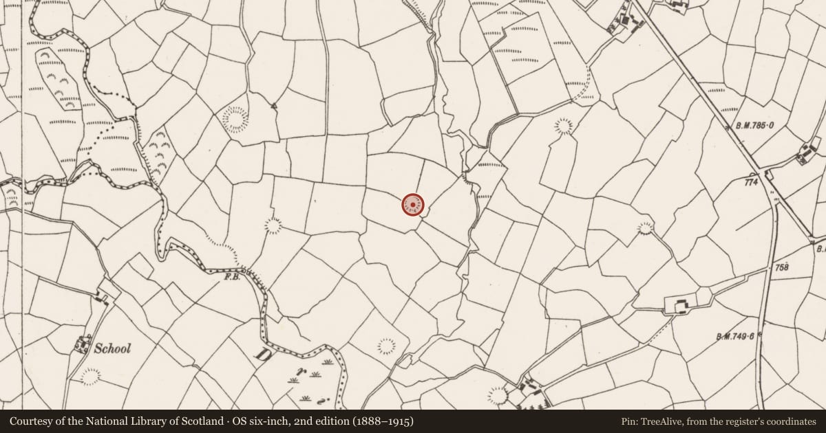 Ordnance Survey six-inch map, 2nd edition (1888–1915) covering the location of Ringfort - rath, Barrahaurin, County Cork, with a pin at the register's coordinates