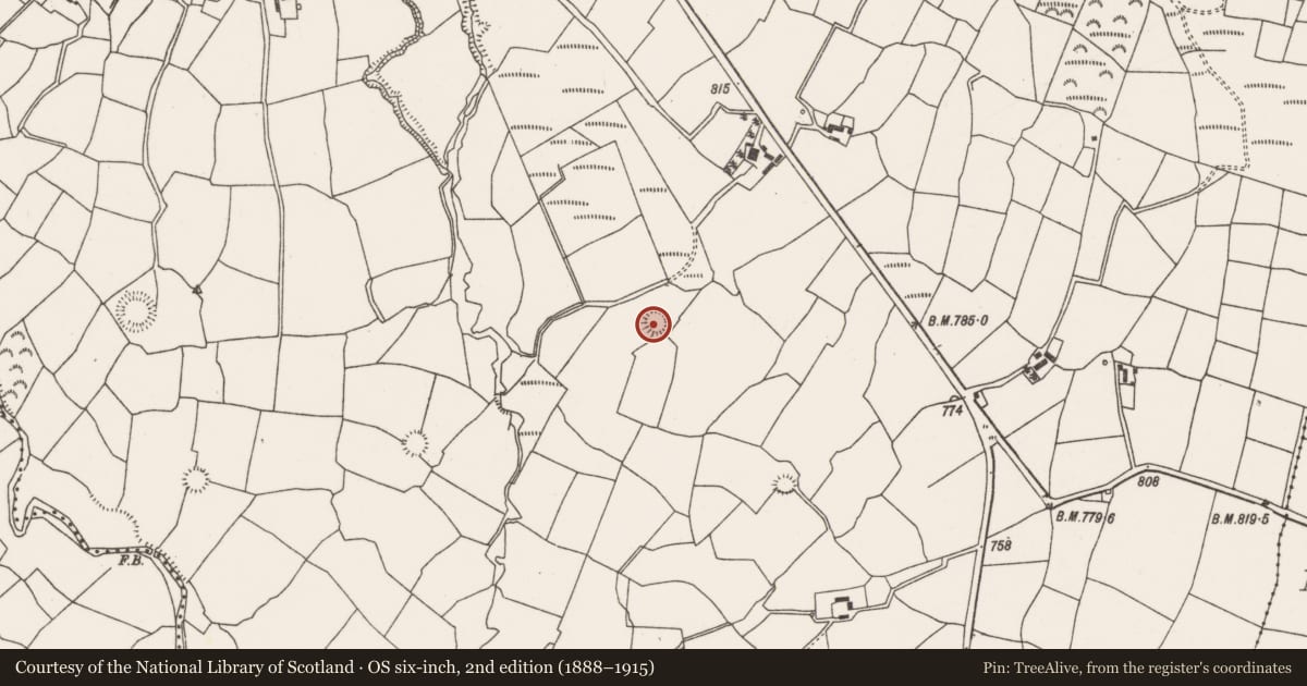 Ordnance Survey six-inch map, 2nd edition (1888–1915) covering the location of Ringfort - rath, Barrahaurin, County Cork, with a pin at the register's coordinates