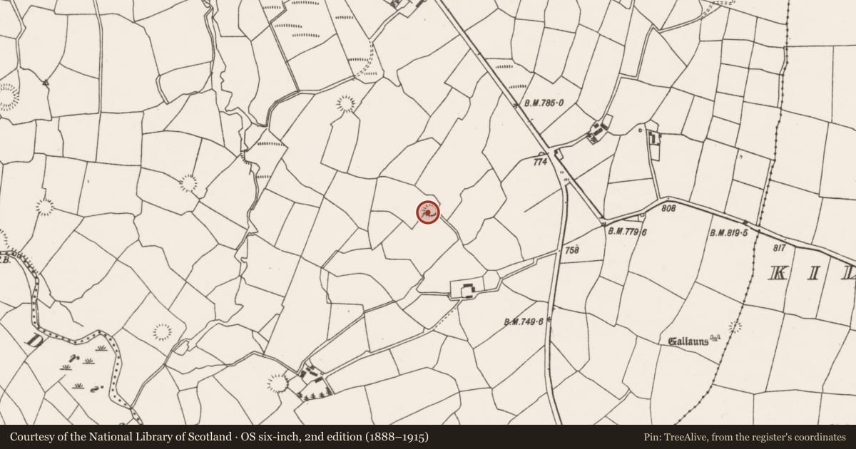 Ordnance Survey six-inch map, 2nd edition (1888–1915) covering the location of Ringfort - rath, Barrahaurin, County Cork, with a pin at the register's coordinates