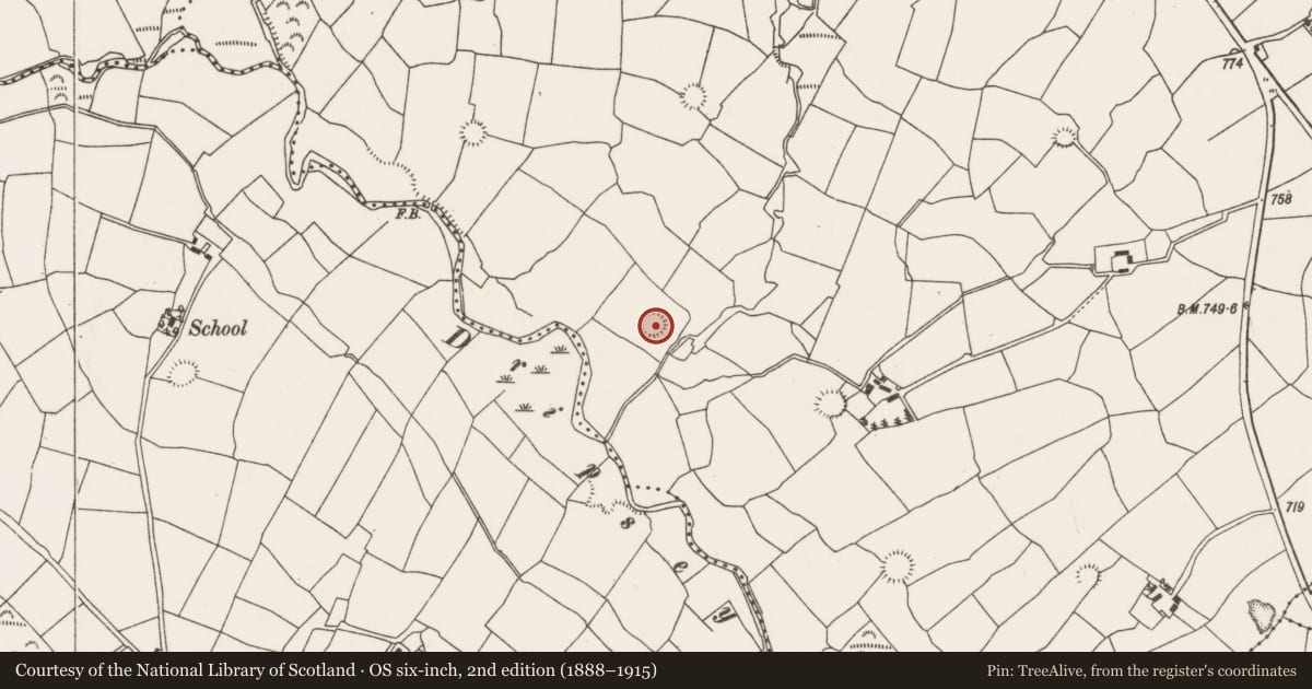 Ordnance Survey six-inch map, 2nd edition (1888–1915) covering the location of Ringfort - rath, Barrahaurin, County Cork, with a pin at the register's coordinates