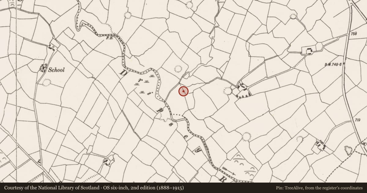 Ordnance Survey six-inch map, 2nd edition (1888–1915) covering the location of Fulacht fia, Barrahaurin, County Cork, with a pin at the register's coordinates