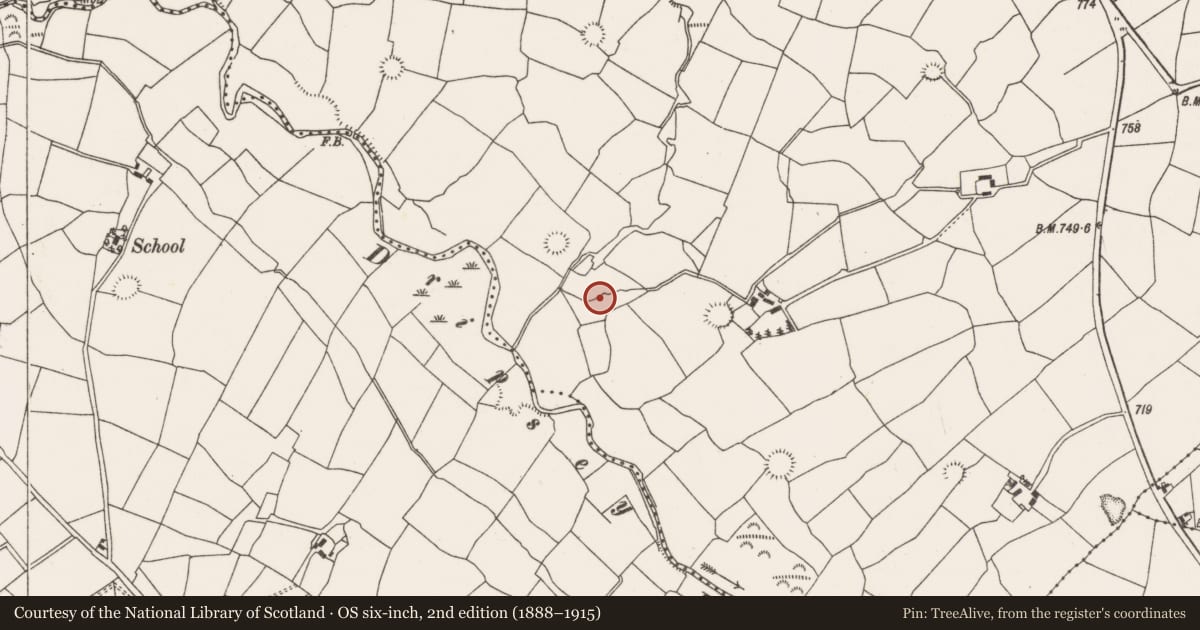 Ordnance Survey six-inch map, 2nd edition (1888–1915) covering the location of Fulacht fia, Barrahaurin, County Cork, with a pin at the register's coordinates